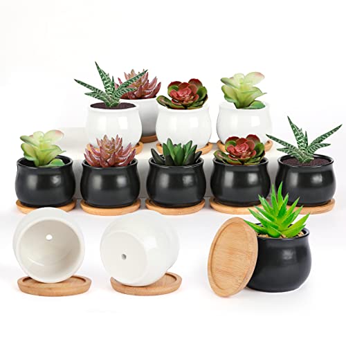 SHECIPIN 12 Pack Succulent Plant Pot, Mini 2.6 inch Ceramic Flower Planter Pot with Bamboo Tray, Small Pots for Plants, Plants Not Included （White, Black） - color: Black,white
