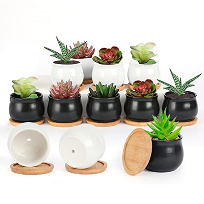 SHECIPIN 12 Pack Succulent Plant Pot, Mini 2.6 inch Ceramic Flower Planter Pot with Bamboo Tray, Small Pots for Plants, Plants Not Included （White, Black） - color: Black,white