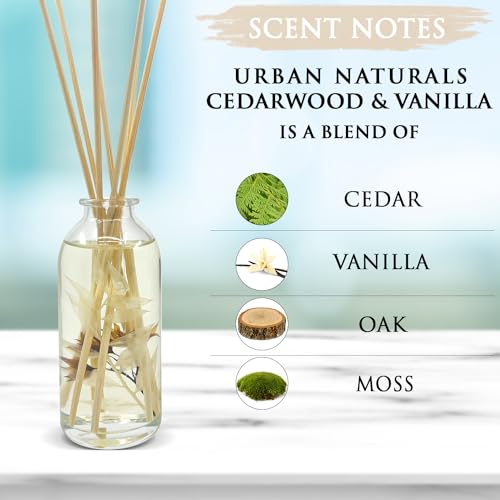 Reed Diffuser Set, Cedarwood & Vanilla - Bathroom Décor | Made with Essential Oils & Real Botanicals, Cedar, Oak and Moss, Made in the USA - color: Cedarwood & Vanilla
