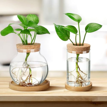 Layhit 4 Pcs Plants Propagation Stations vases Glass Planters with Wooden Lid and Bamboo Stand for Hydroponic Plants Gardening Gifts for Women Mom Home Office Tabletop Decoration(Funny Style) - style: Funny Style