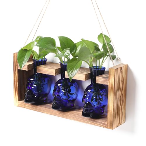 Plant Terrarium Propagation Stations Skull Planter Vase Skulls Decor | Hydroponics Halloween With Wooden Stand Gife for Father - color: Blue