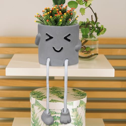 1 Pcs Cute Plant Pot, Small Planter, Succulent Planter, Flower Pot, Office, Room, Shelf, Table Decoration Planter - Squint(Plants not Included) - color: Grey Squint