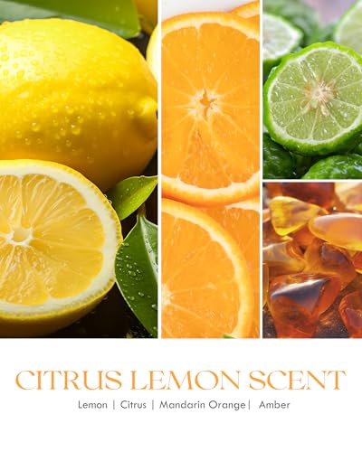 AOOVOO Citrus Lemon Odor Eliminating Candle - 9oz Soy Candles for Home | Eliminates 95% of Pet, Smoke, Food, and Other Smells Quickly, Non Toxic Air Freshing Candle, Up to 50 Hours Burn time - size: 9oz