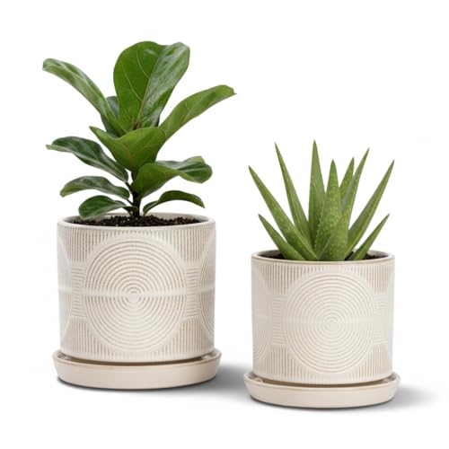 Ceramic Plant Pots, Modern Flower Pots, 4.5+5.5 Inch Small Plant Pots | Indoor planters with Drainage and Tray, Indoor Plant Pots for Succulents Cactus Herbs, Small Planters for Home Office Decor - color: White