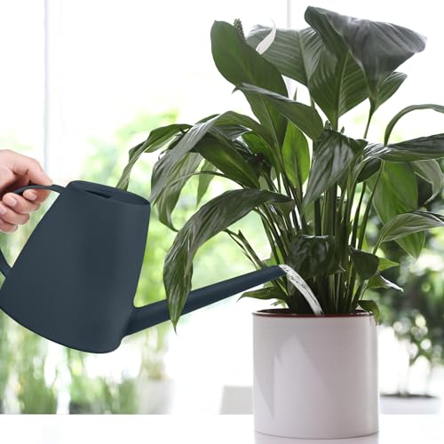 Watering Can - for Indoor and Outdoor House Plant Garden - with Long Spout - 1/2 Gallon - Grey - color: Gray