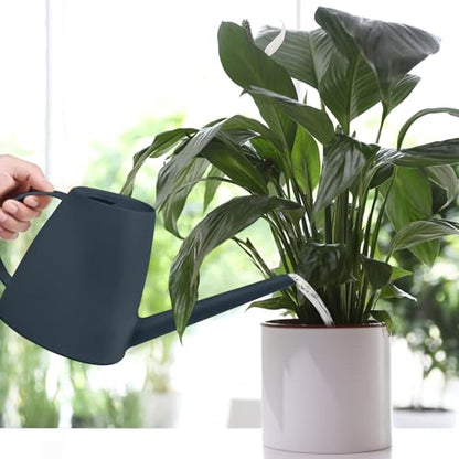 Watering Can - for Indoor and Outdoor House Plant Garden - with Long Spout - 1/2 Gallon - Grey - color: Gray