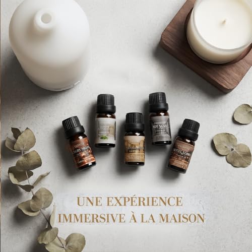 Hotel Collection Essential Oils for Diffusers for Home 6 x 10ml | Aromatherapy Gift, Premium Scented Oils for Diffusers - Jasmine Peppermint,White Tea,Citrus Happiness,My Way,Hotel Lobby - color: Light Gray