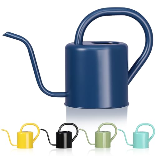 Watering Can, Stainless Steel Watering Can for Indoor & Outdoor Plants, 1L/35oz Long Spout Water Can with Handle, Rust-Proof Plant Watering Pot for House Plants, Garden Flowers - color: Blue