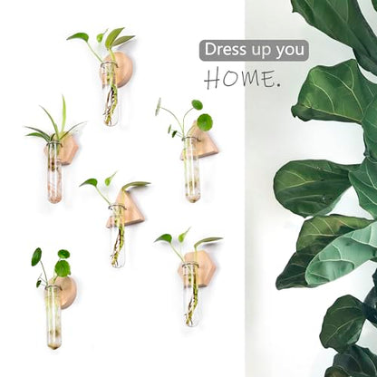 Wall Hanging Glass Planter Plant Propagation Station | Test Tube Vase, Wall Mounted Self-Adhesive Wooden Hydroponic Planter, for Home Office Wall Decor