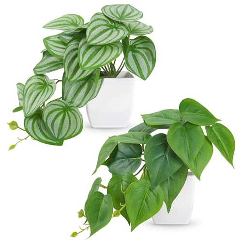 Der Rose 2Pcs Small Fake Plants for Office Desk and Bathroom Decor | Small artificial plants with tropical greenery, trailing leaves ideal for office desks, tabletops and bookshelf indoor decor - color: White