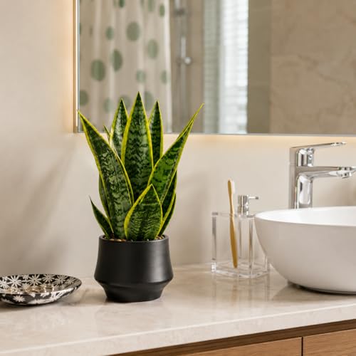 15" Artificial Snake Plant, Faux Sansevieria in Ceramic Pot