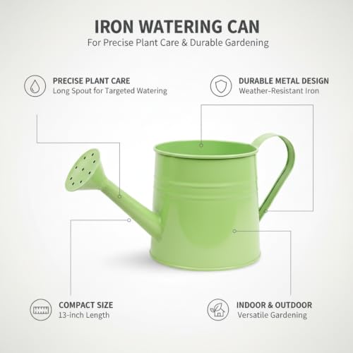Long Spout Iron Watering Can for Indoor & Outdoor Plants, Durable Metal Design with Precise Flow Control (1 Pack) - color: Green