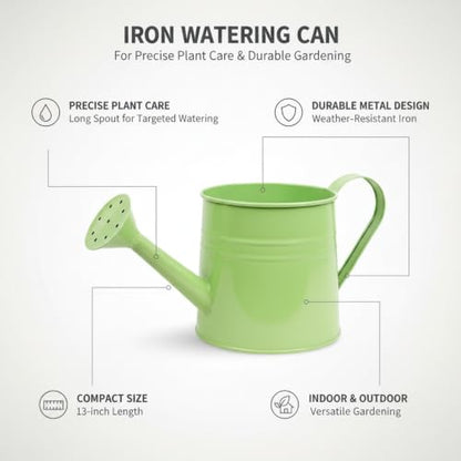 Long Spout Iron Watering Can for Indoor & Outdoor Plants, Durable Metal Design with Precise Flow Control (1 Pack) - color: Green