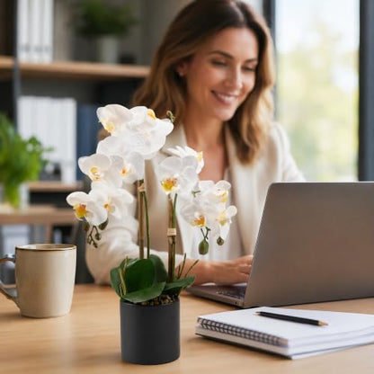 17" Artificial White Phalaenopsis Orchid in Modern Black Ceramic Pot | Realistic Faux Flower Arrangement for Bathroom, Bedroom, & Dining Table Decor - Low-Maintenance Luxury Home Accent