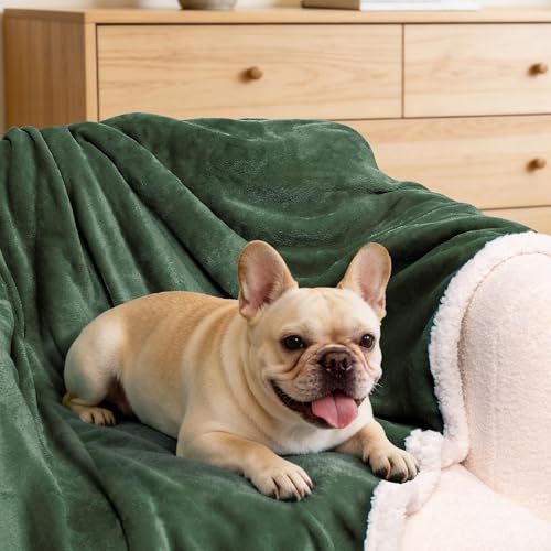 BEAUTEX Sherpa Fleece Throw Blankets Soft Fluffy Flannel Plush Cozy | Fuzzy Green Cuddle Blanket for Couch, Bed, Sofa, Adults (50" x 60", Green) - color: Sagegreen, size: Throw-50"x60"