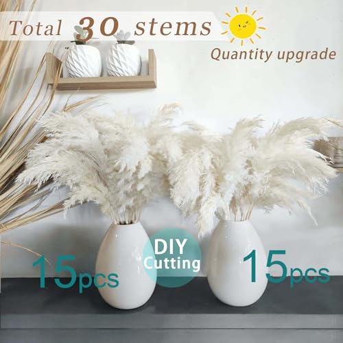 30 Stems White Pampas Grass Fluffy, Boho Home & Party Decor, Natural Pompas Grass for Living Room & Table Decor, Gift (17.7 inch, 30 White ) - size: 30white - 17 Inch