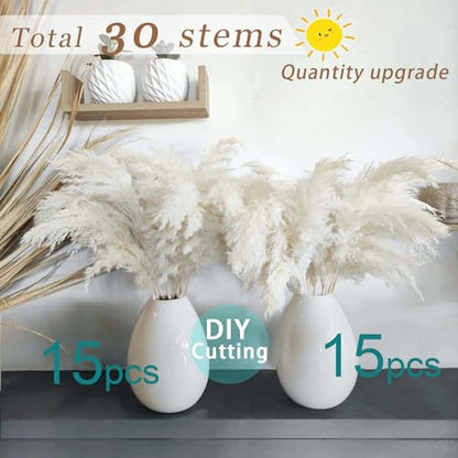 30 Stems White Pampas Grass Fluffy, Boho Home & Party Decor, Natural Pompas Grass for Living Room & Table Decor, Gift (17.7 inch, 30 White ) - size: 30white - 17 Inch