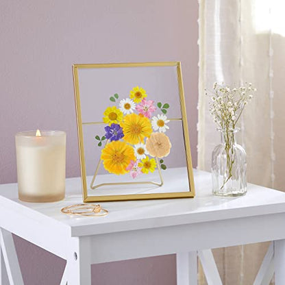 Juvale Gold Frame Floating Glass Picture Frames - 8-Pack 5x7-Inch, Gold Finish, Iron & Glass - Tabletop Home Decor & Pressed Flower Display
