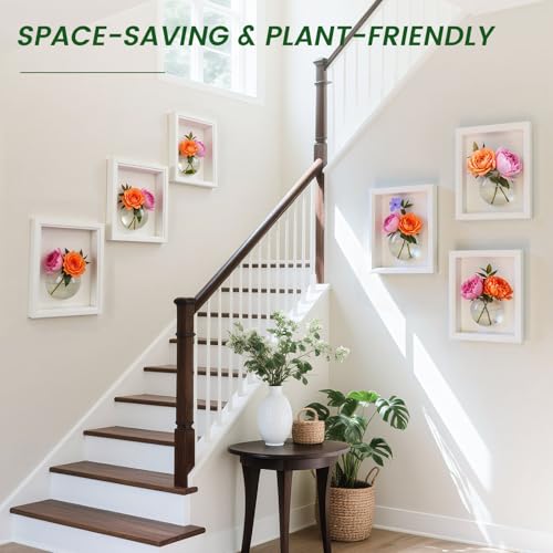 DomeStar Set of 6 Wall Vases, Wall Mounted Propagation Station | Hanging Glass Vases, Terrarium Station for Hydroponics, Plants Home Office Decor (5 Inch) - size: 6pcs