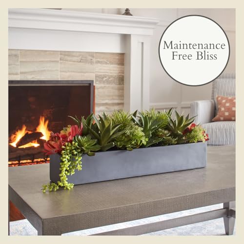 CG Hunter Oblong Faux Succulent Arrangement, Premium Artificial Indoor Plant Enhances Interior Design, Display on any Surface in Your Home Adding an Inviting Touch of Nature, Grey Planter Pot Included - size: 27" Oblong Grey