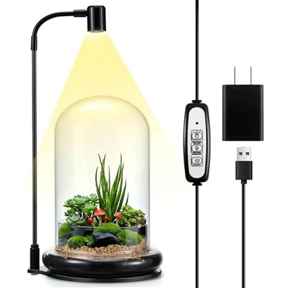 Plant Terrarium Kit with Grow Light, 4.8'' x 7.87'' Glass Dome Terrarium with Air Hole and Base, Succulent Air Planter Fern Moss Micro Landscape Vase for Home Office Tabletop Decoration