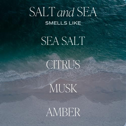 Sweet Water Decor Salt and Sea Reed Diffuser Set - Sea Salt, Citrus, Musk, and Amber Summer Scented Diffuser - Scent Diffusers for Home, Long Lasting Fragrance, Made in the USA - style: Salt + Sea