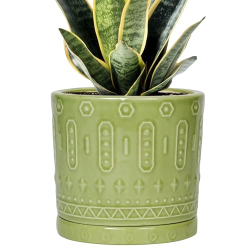 Eightpot Ceramic Pot for Plants - 6 Inch Indoor Planter with Drainage Hole and Saucer, Round Decorative Flower Pots Outdoor, Boho Succulent Planter, Garden Home Decor, Gifts for Plant Lover, Green - color: Green, size: 6 Inch