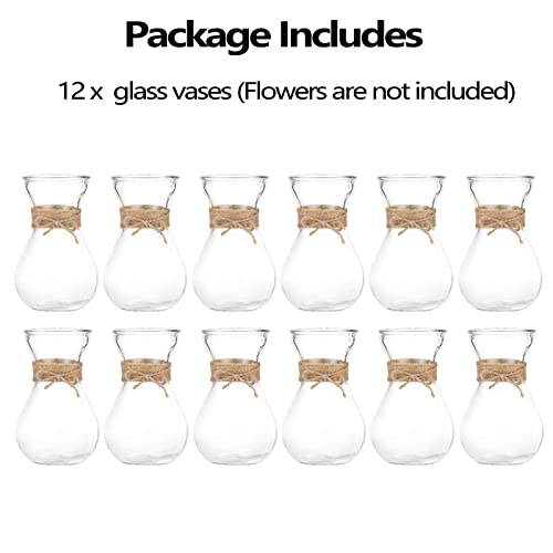 Small Glass Vases for Centerpieces - Hewory 12pcs Clear Mini Hyacinth Avocado Growing Bud Vase Bulk, Cute Tiny Flower Bulb Forcing Plant Containers Set for Wedding Home Living Room Table Decorations