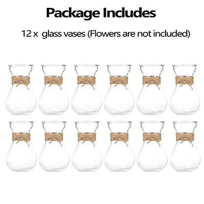 Small Glass Vases for Centerpieces - Hewory 12pcs Clear Mini Hyacinth Avocado Growing Bud Vase Bulk, Cute Tiny Flower Bulb Forcing Plant Containers Set for Wedding Home Living Room Table Decorations