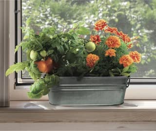 Buzzy Seeds My First Garden Windowsill Grow Kit - Metal Windowsill Planter - Complete Indoor Gardening Kit with Seeds, Coconut Husk Growing Medium & Genuine Pots - 100% Grow Guarantee - color: My First Garden