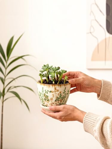 Ceramic Plant Pots, Nursery Pots with Drainage Hole, 3.5 Inch Succulent Pots for Plants, Small Indoor Flower Pots, Modern Decorative Planters for House Plants, Garden Planters, White Green - size: 3.5 inch, set of 4