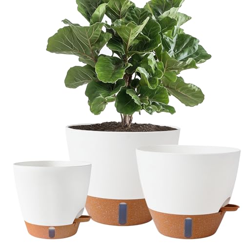 8/10/12 Inch Self Watering Pots for Indoor/Outdoor Plants | Large Plastic Planter with Drainage Holes, Water Level Indicator & Deep Reservoir, Modern Decorative Flower Pots, White - color: White, size: 8/10/12 Inch
