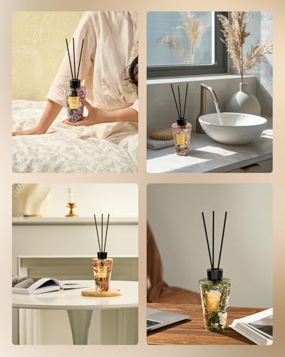 M&SENSE Reed Diffuser Set, Sage Citrus, 8.79 oz Natural Essential Oil | Non-Toxic Organic, Long-Lasting Fragrance, Ideal for Home Office, Bedroom, Gifts for Women - color: Citrus Sage