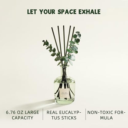 Wild Mint & Eucalyptus Reed Diffuser, 6.76 oz | Real Dried Eucalyptus Leaves, 8 Reeds, Long-Lasting Essential Oil, Home Fragrance, Bedroom or Bathroom Décor - size: Eucalyptus/6.76 Ounce/1 pack