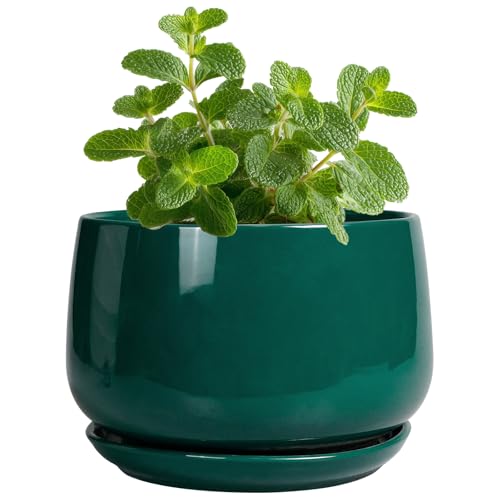 G EPGardening 4 inch Plant Pots - Small Ceramic Planter with Drainage Hole & Tray, Succulent Pots Indoor Outdoor, Round Modern Planter, Decorative Flower Pot, Desk Decor, Gifts for Plant Lover, Green - color: Blackish Green, size: 4 Inch