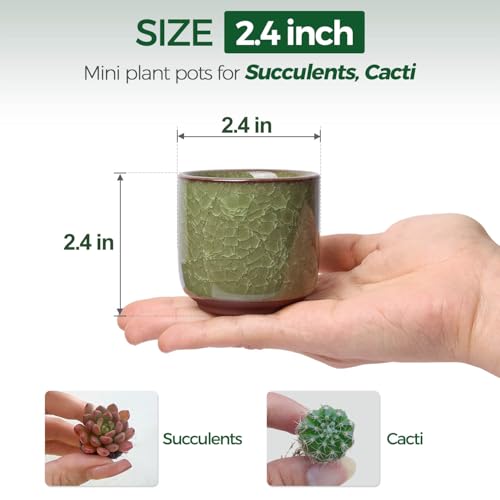 T4U 2.5 Inch Small Ceramic Succulent Planter Pot with Drainage Hole Set of 6, Ice Crack Glaze Plant Container for Cactus, Succulent Plant Gifts for Women Mom Aunt Home Office Decor | Deep root containers, for small cactus plants, bonsai tree starter pots,