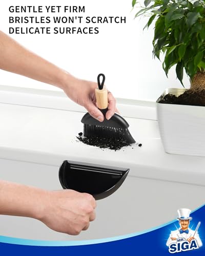 MR.SIGA Mini Dustpan and Brush Set, Bamboo Handle, Black, 1 Set | Portable cleaning brush and dustpan combo, handheld brush and dustpan combo with hanging loop - color: Black