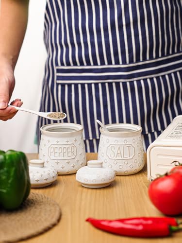 GDCZ 10 Oz Ceramic Salt and Pepper Bowls Set with Lid and Spoons (White) | Convenient Set of 2 for Kitchen, Includes Lids & Matching Spoons, 10oz Capacity, Embossed Texture - color: White