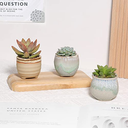 T4U Small Ceramic Succulent Pots with Drainage Set of 6, Mini for Plants, Tiny Porcelain Planter, Air Plant Flower Cactus Faux Plants Containers, Modern Decor Home and Office