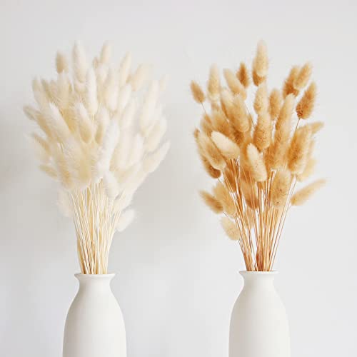 120 PCS Bunny Tails Dried Flowers, Dried Pampas Grass Bouquet, Boho Table Decor, White Pampas Grass small, dried bunny tails, Pampas Grass for Wedding, Home, Rustic Party, Baby Shower Decorations - color: 100pcs Pampas Grass-a