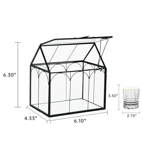 FerrisIsland Glass Plant Wardrobe Indoor Small Succulent Aquarium | FerrisIsland glass plant small succulent aquarium with desktop decoration DIY door (6 in long x 4.3 in wide x 6.3 in high) - size: 6" L x 4.3" W x 6.3" H