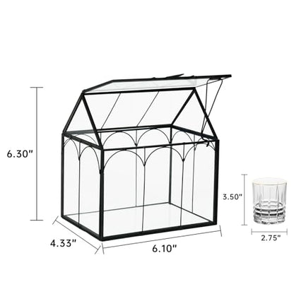 FerrisIsland Glass Plant Wardrobe Indoor Small Succulent Aquarium | FerrisIsland glass plant small succulent aquarium with desktop decoration DIY door (6 in long x 4.3 in wide x 6.3 in high) - size: 6" L x 4.3" W x 6.3" H