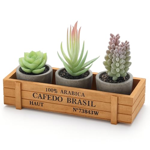DomeStar Set of 3 Mini Potted Artificial Succulent Plants with Wood Planter | Indoor Office Desk, Apartment Wedding Tabletop, Greenery Decorations