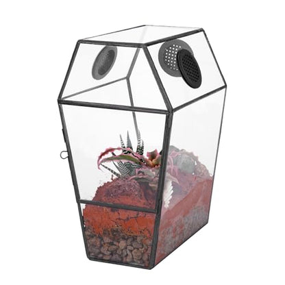 NCYP Gothic Glass Enclosure for Jumping Spider, Snails, Insects - Front Opening Door Geometric Terrarium with Vent Holes, Indoor Tabletop Coffin Shape Decor, Black (Terrarium Only)