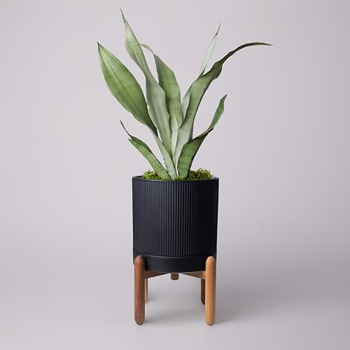 HERDUK 8 Inch Ceramic Planter with Natural Wood Stand w/Drainage & Saucer - Modern Indoor Planter for Cacti, Snake Plants & Aloe Vera Black - color: Matte Black, size: 8 Inch