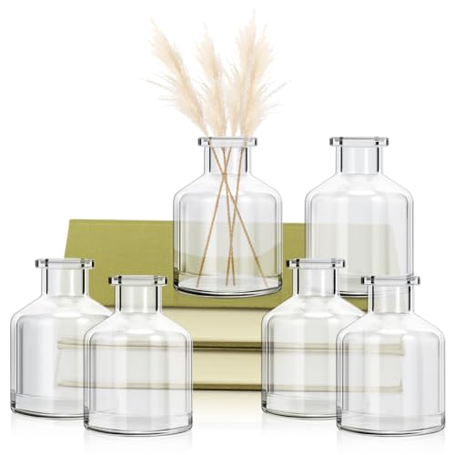 6 Pcs Bud Vases, Clear Glass Bud Vase, 2 x 2.75 Inch | Mini Flower Vases, Small Living Glass Vase Bulk for Flowers, Centerpieces, Home Table Decor, Living Room, Office Decor
