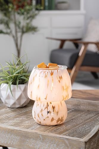 Candle Warmers ETC Art Glass Lamp Vintage Bulb Illumination Fragrance Warmer - size: Art Glass