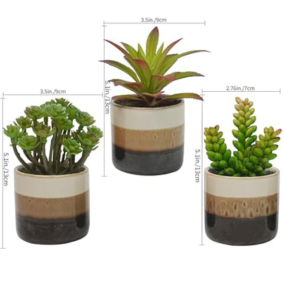 Small Artificial Plants in Pots, Set of 3 Faux Succulents | Mini potted greenery in glossy ceramic pots. Lifelike, maintenance-free shelf, desk & living room decor accessories
