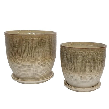 Aspen & Fig Brown 8 Inch Indoor Ceramic Plant Pot with an Attached Saucer and Drainage Hole for House Plants, Herbs, Flowers, Succulent, Snake Plants, Gifts for Mom, Standard Pot