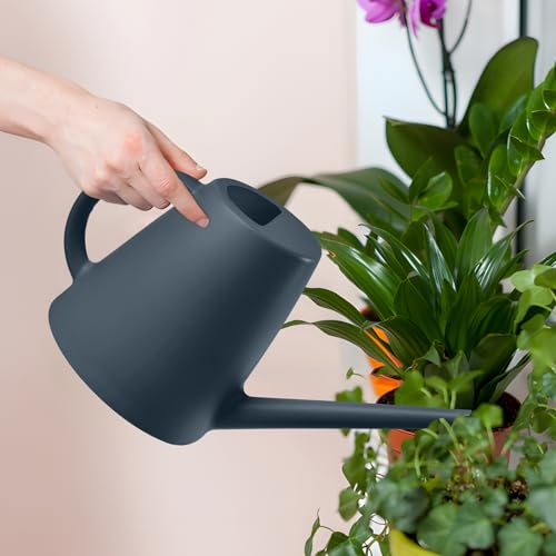 ZXJ Watering Can - for Indoor and Outdoor Home Garden Plants- Grey - 1/2 Gallon - color: Gray
